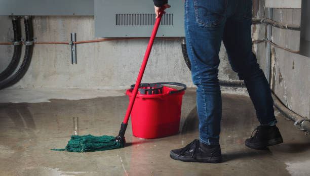Best Water damage cleanup near me  in Ventress, LA