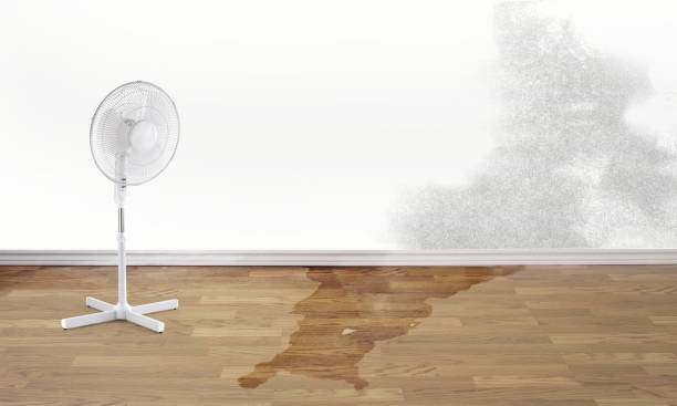 Best Water damage restoration experts  in Ventress, LA