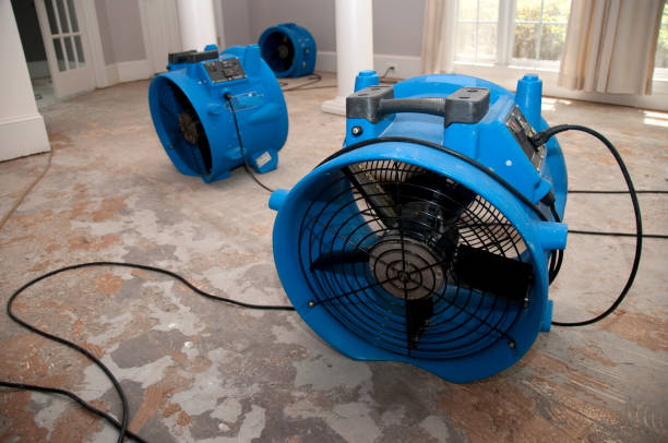 Local water damage restoration in LA
