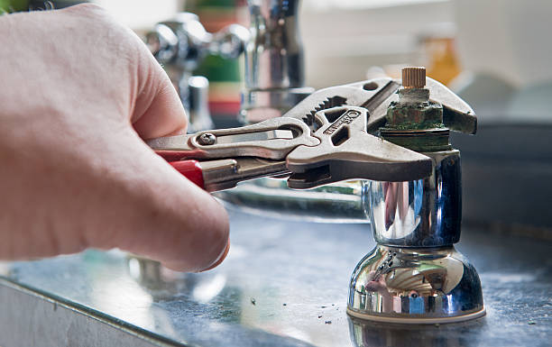 Best Professional water damage repair  in Ventress, LA