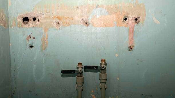 Best Commercial water damage restoration  in Ventress, LA