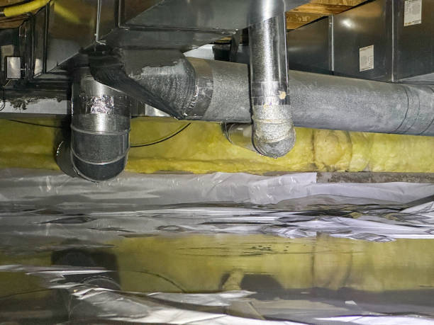 Best Sewage cleanup and water damage restoration  in Ventress, LA
