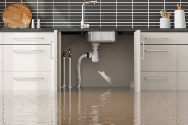 Best Water damage restoration specialists  in Ventress, LA