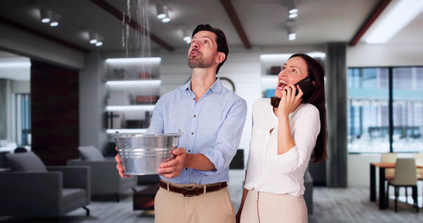 Best Flooded house restoration  in Ventress, LA