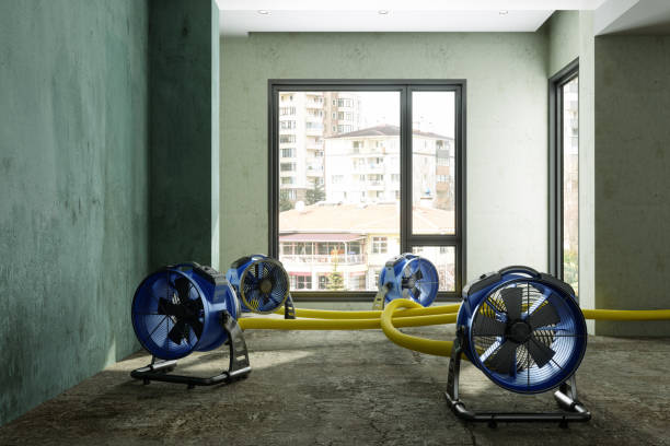 Best Water damage restoration near me  in Ventress, LA