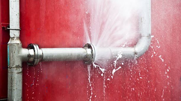 Best Water damage contractors near me  in Ventress, LA